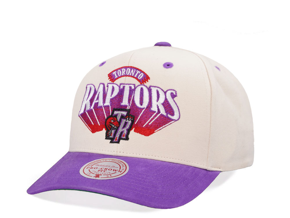 Mitchell & Ness Toronto Raptors Horizon Two Tone Pro Crown Fit Snapback Cap